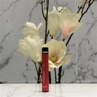 Hot Selling Vape-pen met 600 trekjes